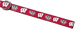 ShopInstaPets Wisconsion Badgers Dog Leash, 6-ft long, 1-in wide slide 2 of 3