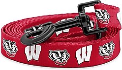 ShopInstaPets Wisconsion Badgers Dog Leash, 6-ft long, 1-in wide