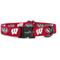 Show in main carousel: ShopInstaPets Wisconsion Badgers Adjustable Dog Collar, Medium: 19-in neck, 3/4-in wide slide 1 of 4