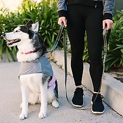 Eddie Bauer Flat Reflective Dog Leash with Assist Handle, 6-ft long, 1-in wide, Grey slide 2 of 3