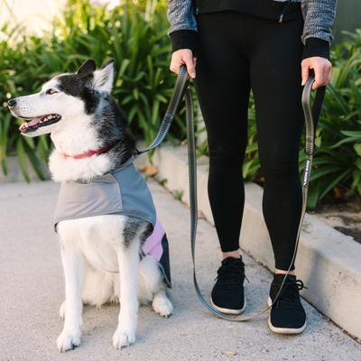 Show full view: Eddie Bauer Flat Reflective Dog Leash with Assist Handle, 6-ft long, 1-in wide, Grey slide 4 of 4