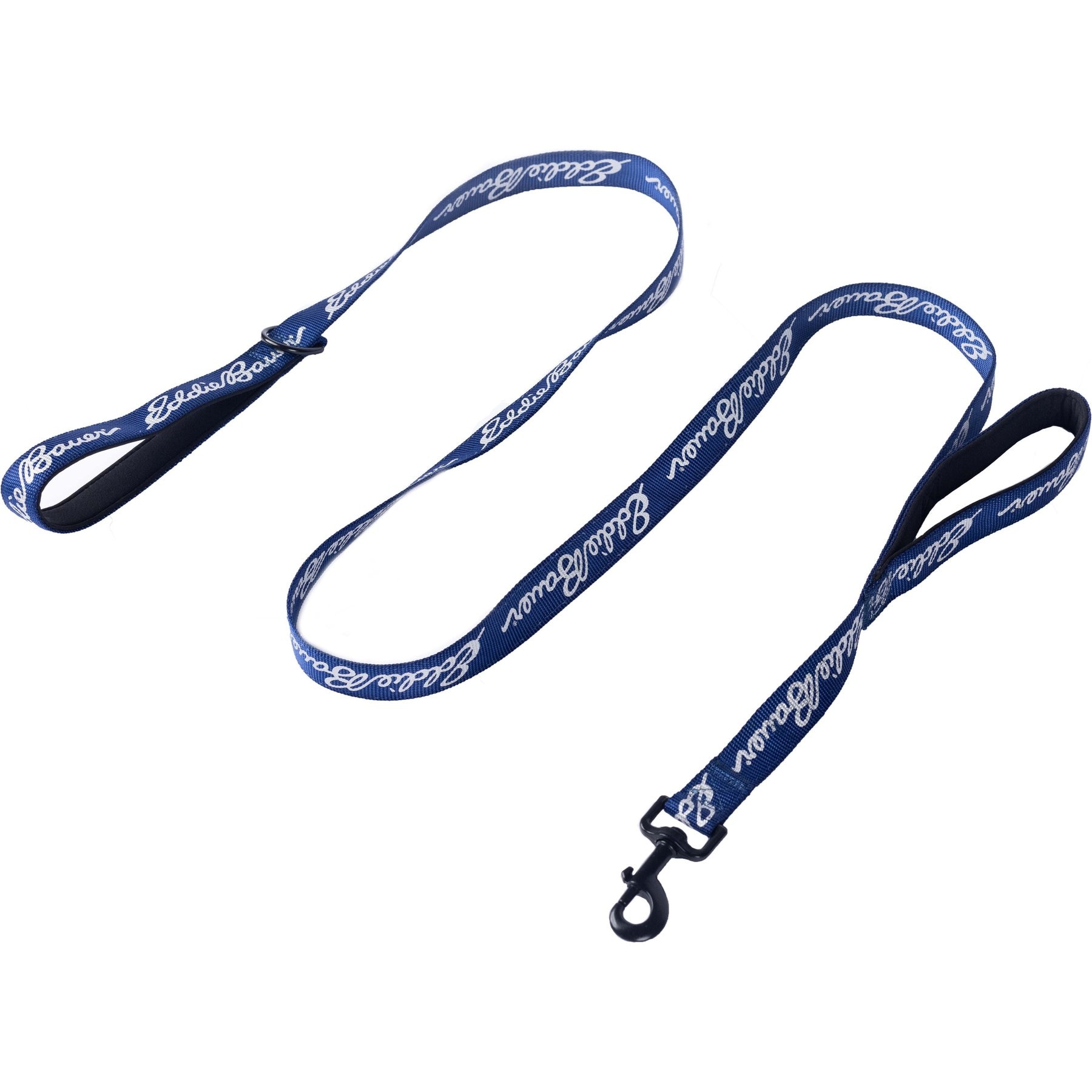 Eddie Bauer Flat Reflective Dog Leash with Assist Handle, 6-ft long, 1-in wide, Blue