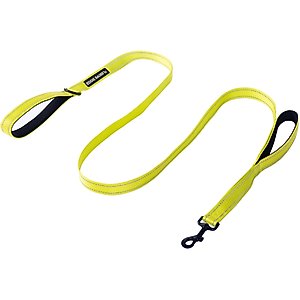 Eddie Bauer Flat Reflective Dog Leash with Assist Handle, 6-ft long, 1-in wide, Green