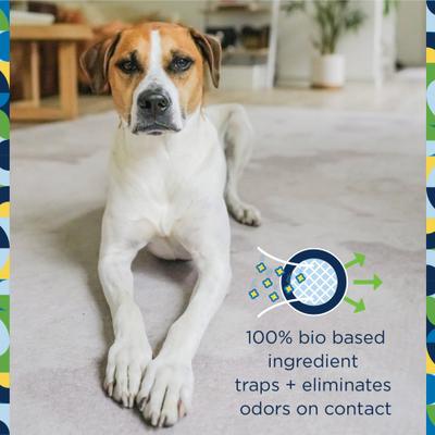 Show full view: Pet Life Unlimited Carpet Refresher, Juniper Leaf Scent, 16-oz bottle slide 2 of 10