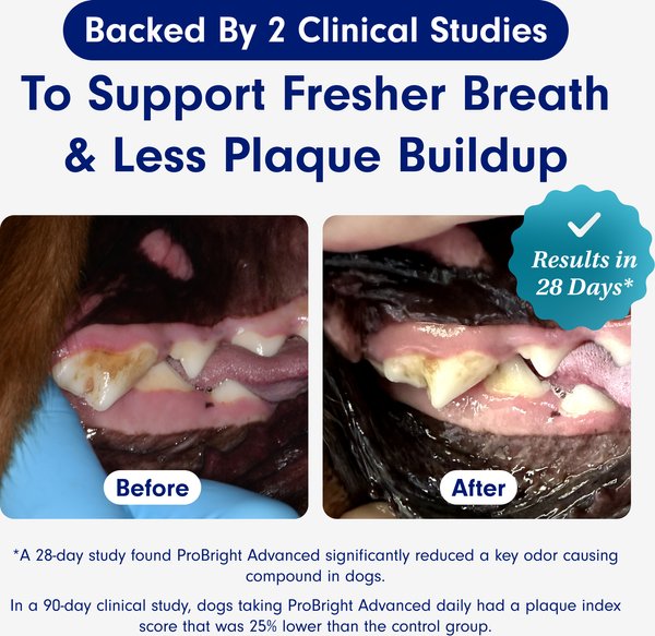 PetLab Co. ProBright Advanced Chicken Flavored Powder Dental Supplement for Dogs