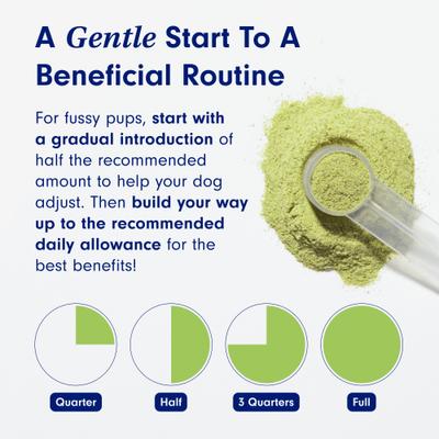 Show full view: PetLab Co. ProBright Advanced Chicken Flavored Powder Dental Supplement for Dogs, Medium Dogs: 2.12-oz jar slide 9 of 11