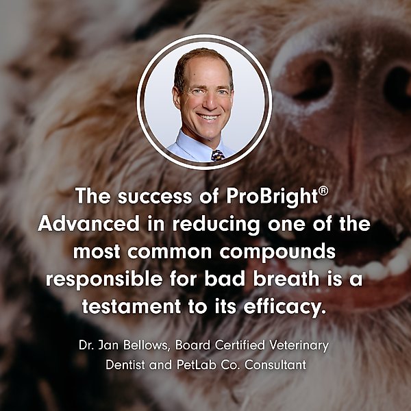 PetLab Co. ProBright Advanced Chicken Flavored Powder Dental Supplement for Dogs