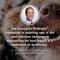 Show in main carousel: PetLab Co. ProBright Advanced Chicken Flavored Powder Dental Supplement for Dogs, Medium Dogs: 2.12-oz jar slide 6 of 11