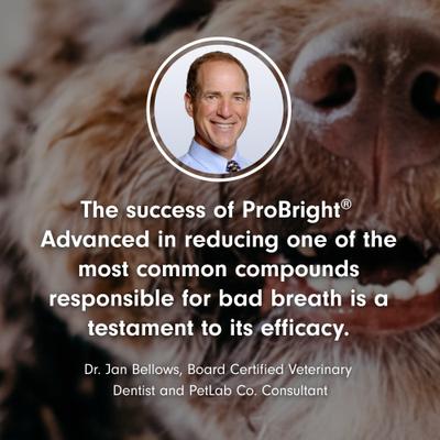 Show full view: PetLab Co. ProBright Advanced Chicken Flavored Powder Dental Supplement for Dogs, Medium Dogs: 2.12-oz jar slide 6 of 11