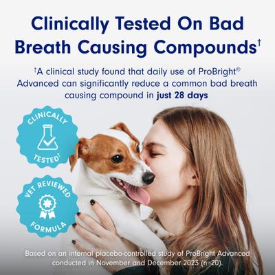 Show full view: PetLab Co. ProBright Advanced Chicken Flavored Powder Dental Supplement for Dogs, Medium Dogs: 2.12-oz jar slide 4 of 11