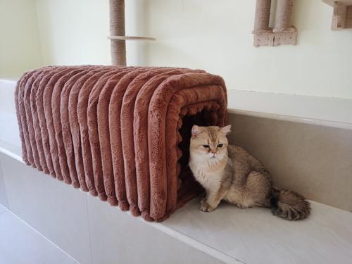Show full view: Cesicia Storage Bench Cat House, Rustic Brown slide 5 of 7