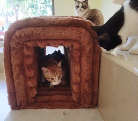 Show full view: Cesicia Storage Bench Cat House, Rustic Brown slide 6 of 7