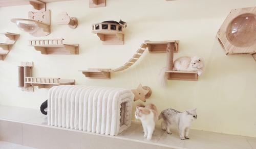 Show full view: Cesicia Storage Bench Cat House, Beige slide 6 of 7