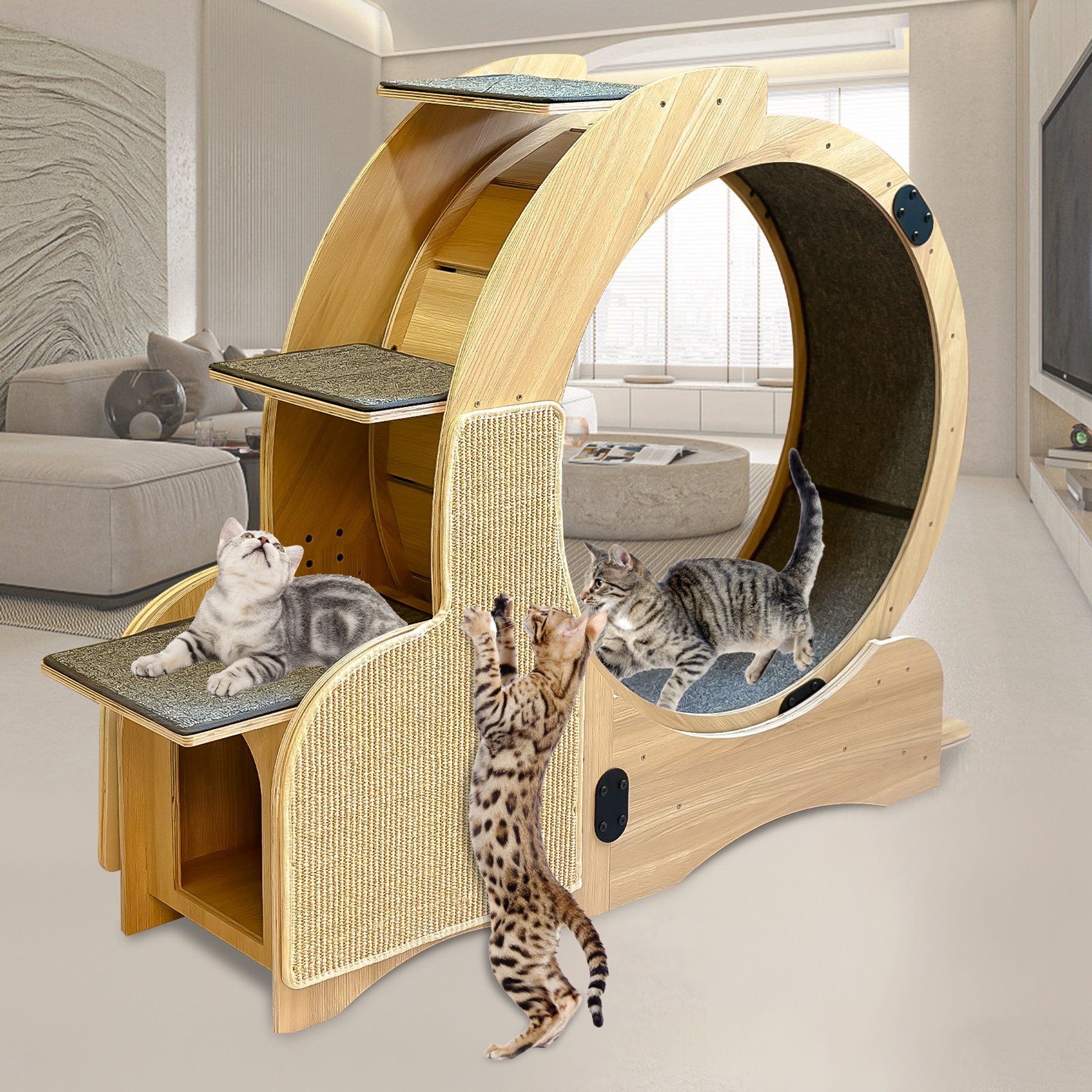 Cesicia Oversized Roller Cat Wheel