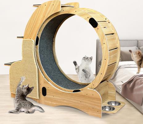 Show full view: Cesicia Oversized Roller Cat Wheel slide 6 of 8