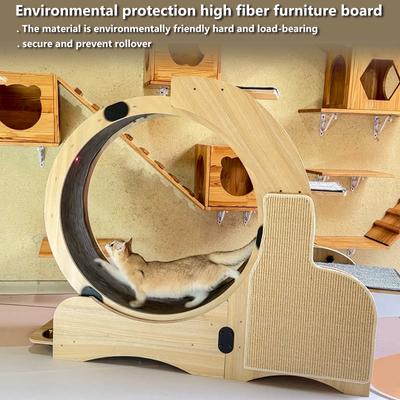 Show full view: Cesicia Oversized Roller Cat Wheel slide 4 of 8