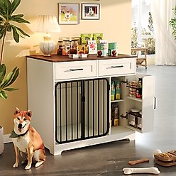 Cesicia Indoor Furniture Style Dog Crate with Storage