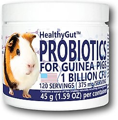 Equa Holistics HealthyGut Probiotics Supplement for Guinea Pigs, 45-g jar