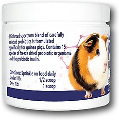 Equa Holistics HealthyGut Probiotics Supplement for Guinea Pigs, 45-g jar slide 2 of 3