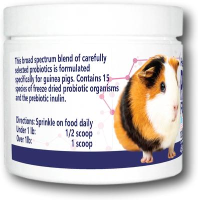 Show full view: Equa Holistics HealthyGut Probiotics Supplement for Guinea Pigs, 45-g jar slide 2 of 4