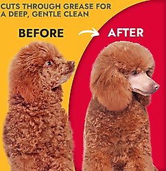 KONG Citrus Degreasing Dog Shampoo, 16-oz bottle slide 2 of 6