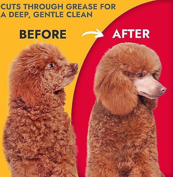Show full view: KONG Citrus Degreasing Dog Shampoo, 16-oz bottle slide 4 of 7