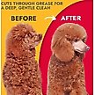 Show in main carousel: KONG Citrus Degreasing Dog Shampoo, 16-oz bottle slide 4 of 7