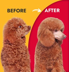 KONG Hydrating Dog Conditioner, 16-oz bottle slide 2 of 6