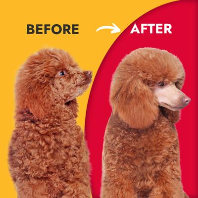 Show full view: KONG Hydrating Dog Conditioner, 16-oz bottle slide 5 of 8