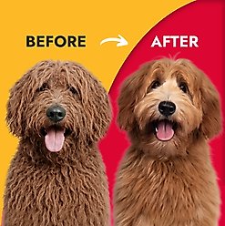 KONG Detangler Spray for Dogs, 8-oz bottle slide 2 of 6