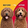 Show in main carousel: KONG Detangler Spray for Dogs, 8-oz bottle slide 5 of 8