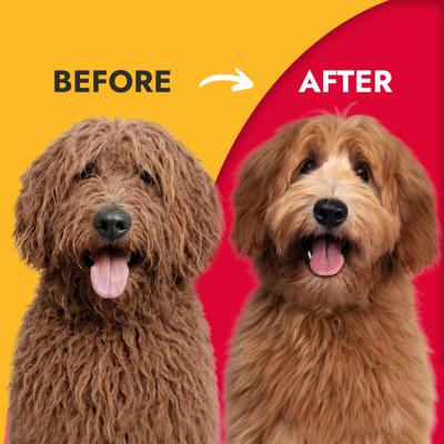 Show full view: KONG Detangler Spray for Dogs, 8-oz bottle slide 5 of 8