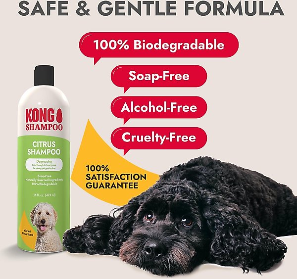 Show full view: KONG Citrus Degreasing Dog Shampoo, 16-oz bottle slide 3 of 7