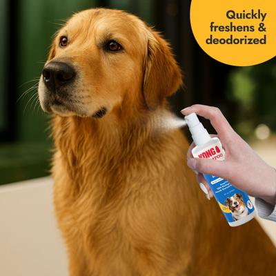 Show full view: KONG Leave-In Waterless Dog Shampoo, 8-oz bottle slide 5 of 7