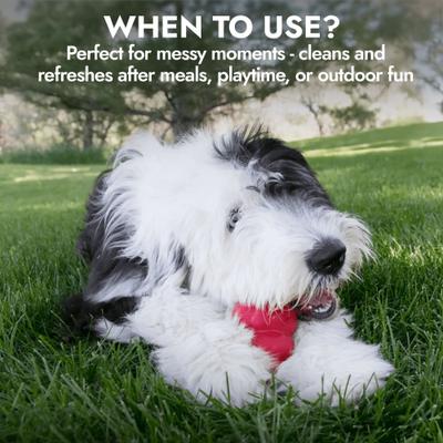 Show full view: KONG Exfoliating Dog Face Wash, 8-oz bottle slide 4 of 7