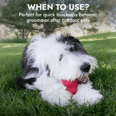 Show full view: KONG Leave-In Waterless Dog Shampoo, 8-oz bottle slide 4 of 7