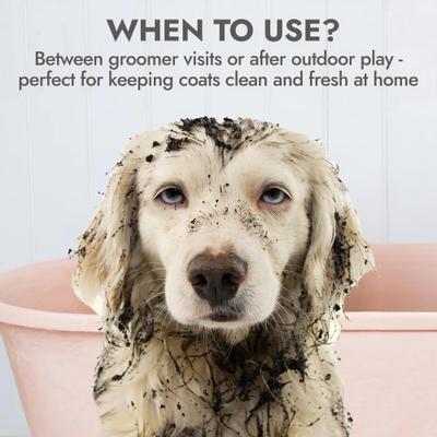 Show full view: KONG Citrus Degreasing Dog Shampoo, 16-oz bottle slide 6 of 8