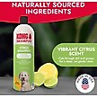 Show in main carousel: KONG Citrus Degreasing Dog Shampoo, 16-oz bottle slide 2 of 7