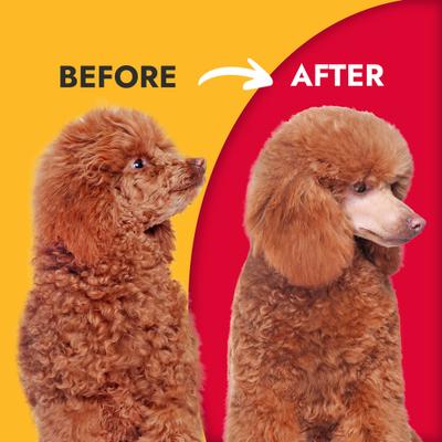 Show full view: KONG Hydrating Dog Shampoo, 16-oz bottle slide 5 of 8