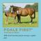 Show in main carousel: ProElite Foals First Starter & Creep Horse Feed, 50-lb bag slide 2 of 7