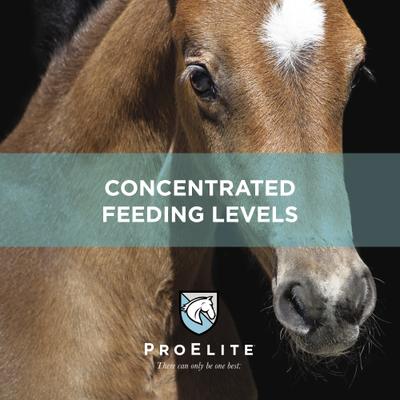 Show full view: ProElite Foals First Starter & Creep Horse Feed, 50-lb bag slide 3 of 7