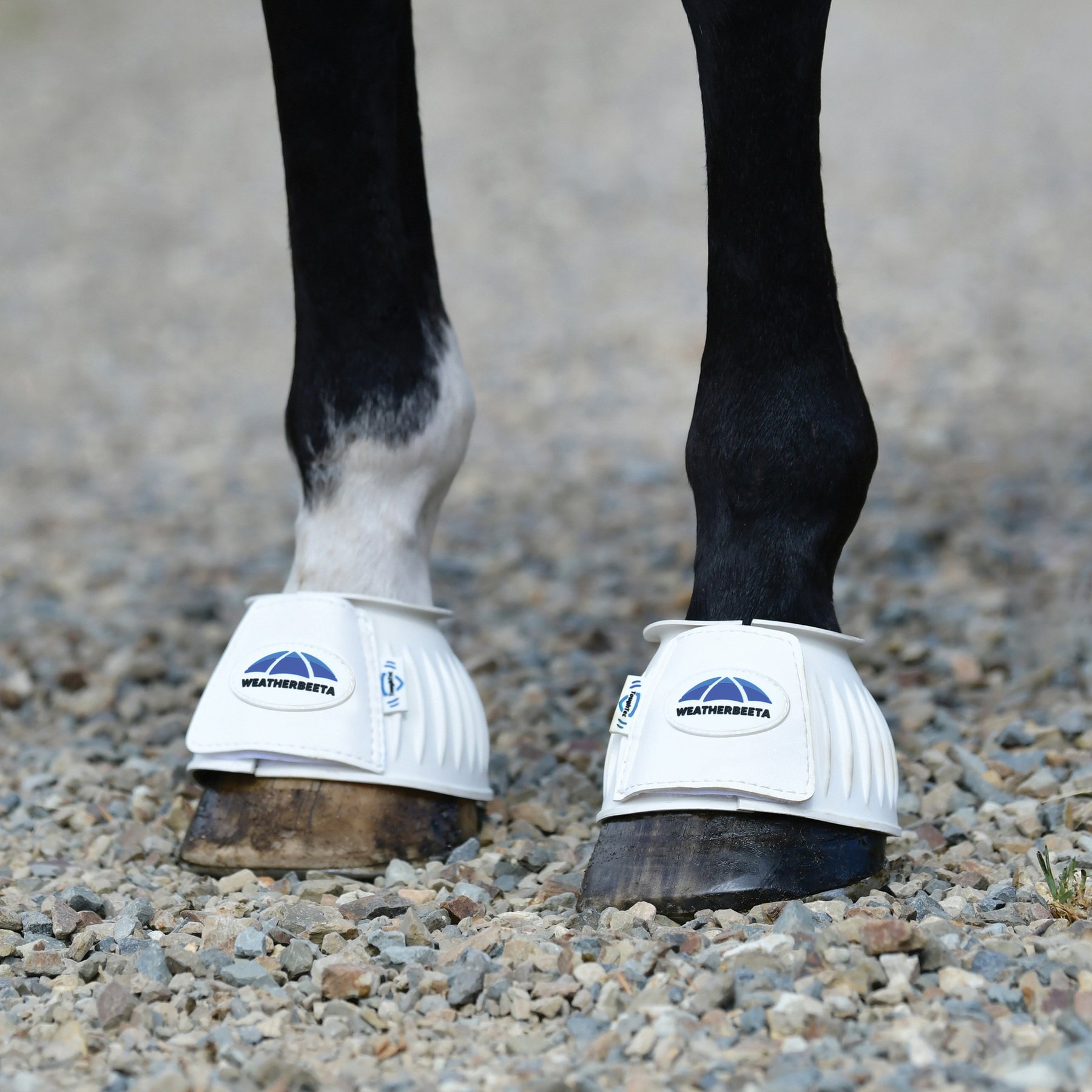 WeatherBeeta Tough-Tec Prime Rubber Bell Horse Boots, White/White, Small