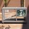 Show in main carousel: Coziwow Indoor/Outdoor Wooden Rabbit Hutch with Wheels, Grey slide 8 of 10