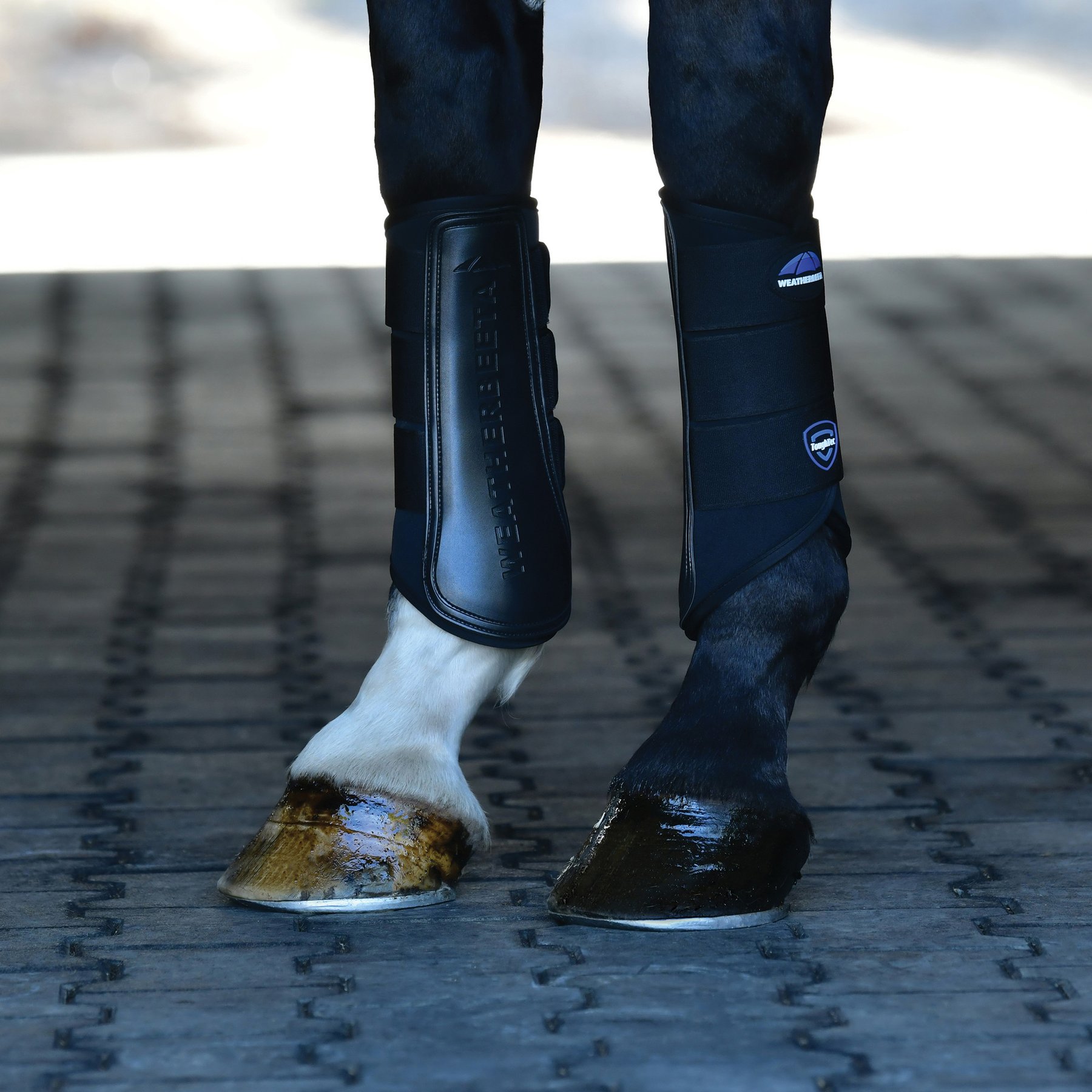 WeatherBeeta Tough-Tec Prime Brushing Horse Boots, Black/Black, Large