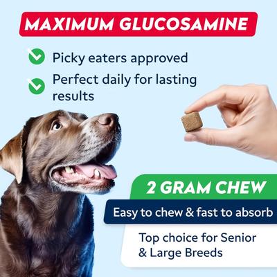Show full view: StrellaLab Advanced Glucosamine Chondroitin Green Lipped Mussel & Collagen Joint Supplement for Dogs, 120 count slide 9 of 11
