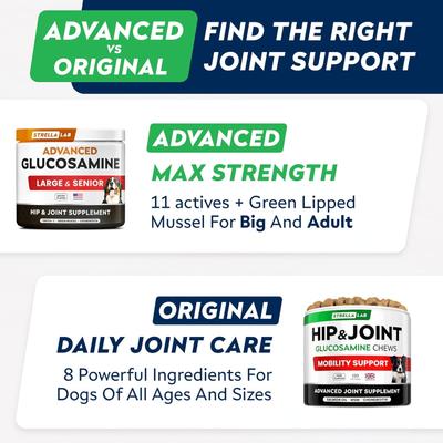 Show full view: StrellaLab Advanced Glucosamine Chondroitin Green Lipped Mussel & Collagen Joint Supplement for Dogs, 120 count slide 4 of 11