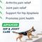 Show in main carousel: StrellaLab Advanced Glucosamine Chondroitin Green Lipped Mussel & Collagen Joint Supplement for Dogs, 120 count slide 3 of 11