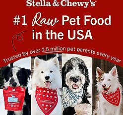Stella & Chewy's Tantalizing Turkey Dinner Patties Freeze-Dried Raw Dog Food, 14-oz bag slide 2 of 9