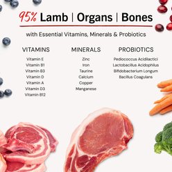 Stella & Chewy's Dandy Lamb Dinner Patties Freeze-Dried Raw Dog Food, 25-oz bag slide 2 of 9