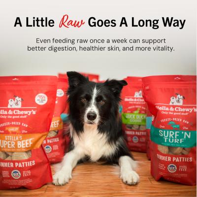 Show full view: Stella & Chewy's Dandy Lamb Dinner Patties Freeze-Dried Raw Dog Food, 25-oz bag slide 6 of 13